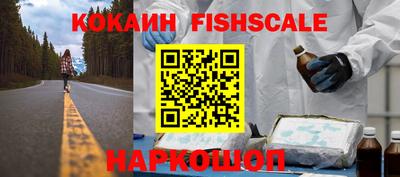 крисы Бийск