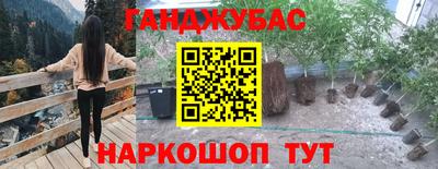 крисы Бийск