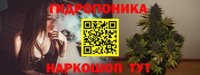 крисы Бийск