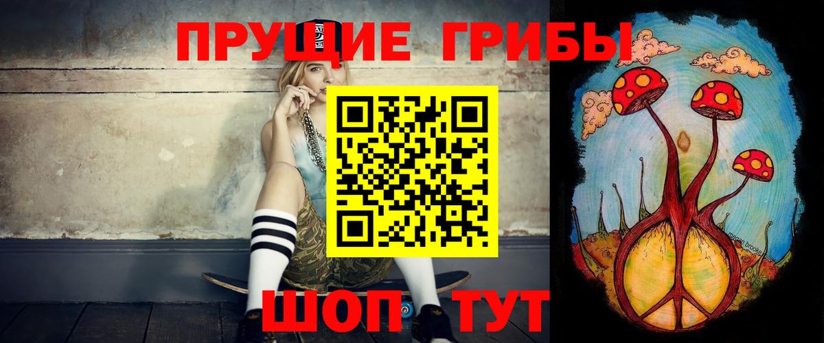 Клин  Псилоцибиновые грибы Psilocybine cubensis  Вход с VPN 