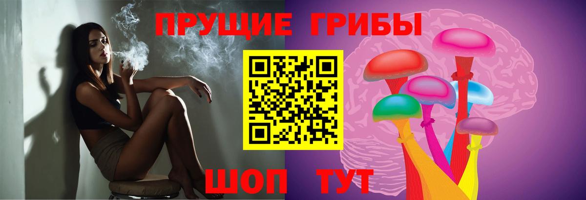 Псилоцибиновые грибы Psilocybine cubensis Клин